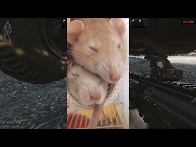 Quick guide for SILENT CALIBER - Skier Task