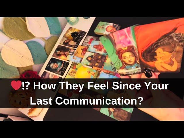 ️⁉️ How They Feel Since Your Last Communication? Soulmate Love Tarot Reading Horoscope