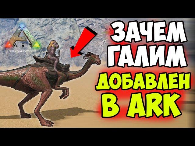 Зачем ЭТА ЖИВКА в ARK? Галимим, Дилофозавр, ДоДо - Ответ от АРКЕРА ДИЕГО! Хроники АРКа #4