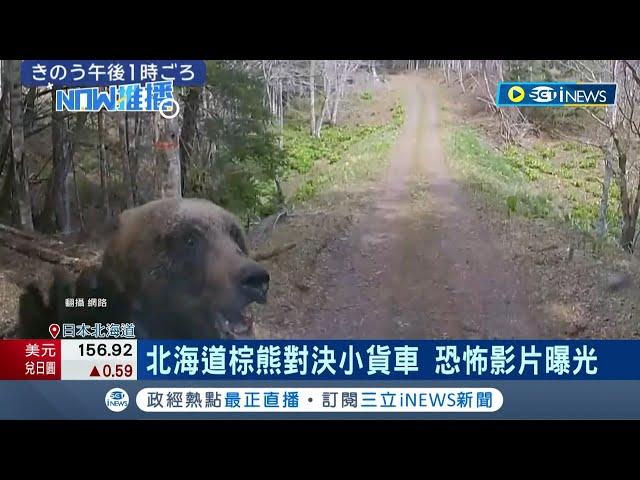 北海道採野菜遇棕熊猛撲撞擊 驚悚畫面曝! 美國大山貓闖入後院 吃掉倉庫火雞飽食｜記者 姚懷真｜【國際局勢】20240430｜三立iNEWS