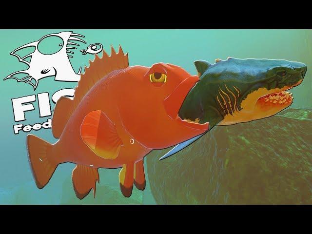 МОРСКОЙ ОКУНЬ ПРОГЛОТИЛ МЕГАЛОДОНА | Feed and Grow Fish