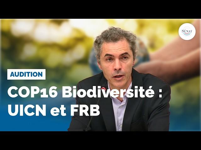 COP 16 Biodiversité : audition de l'UICN et de la FRB