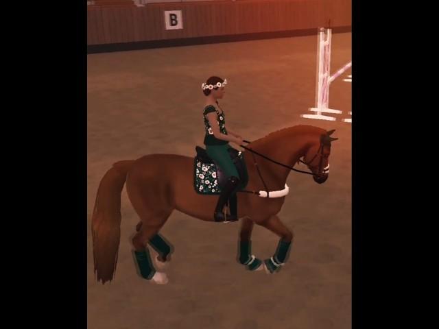 I got the season pass #horse #equinegame #horseriding #equinewonders #horserides #horsefan