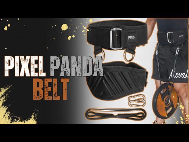 Pixel Panda Weightlifting Belt