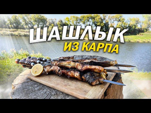 Шашлык из карпа. Поймали и сразу же приготовили карпа на мангале.