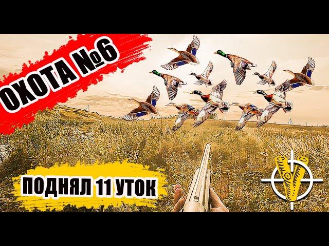 Поднял 11 уток на охоте -  заклинило ружье!!!