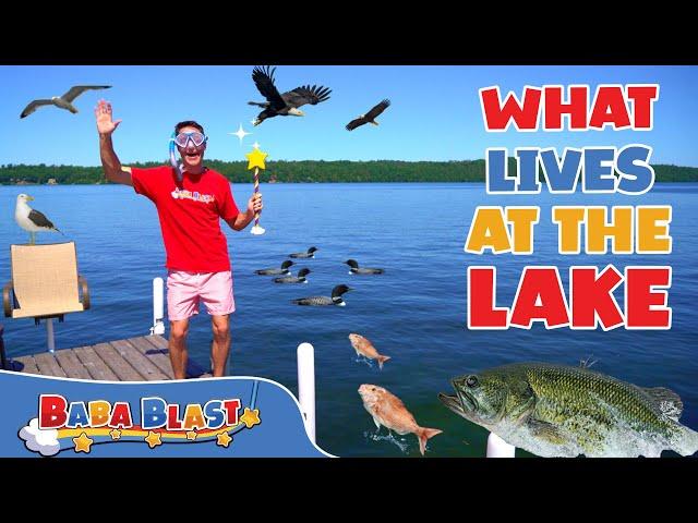 What Lives at the Lake? | Animal Videos for Kids | Baba Blast!