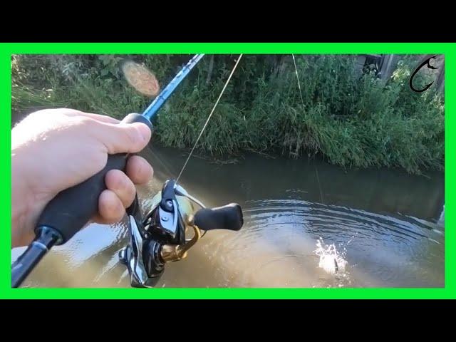 Ultra light rainbow trout spinning with spinners - private lake ultralight rainbow fishing