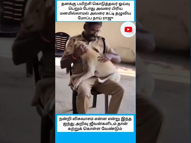 Kerala firefighter's emotional farewell with loyal station dog Raju melts hearts, goes viral
