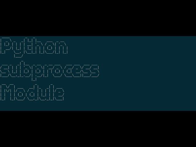 Introduction to Python subprocess module