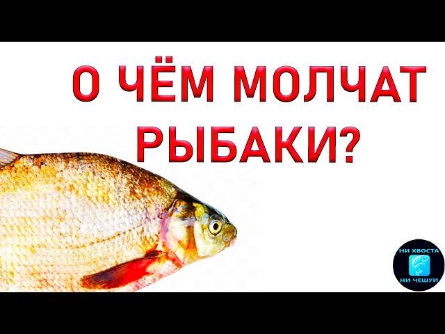 КАК ОТСЕЧЬ МЕЛКУЮ РЫБУ?!10 СЕКРЕТОВ ЛОВЛИ КРУПНОГО ЛЕЩА на фидер!