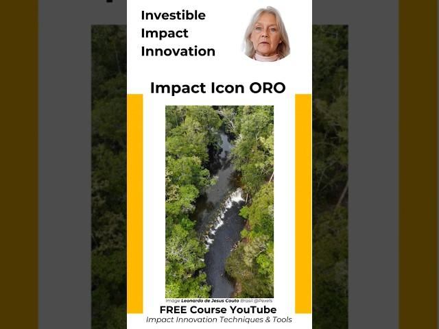 The Impact Effectivity of ORO: Investible Impact Innovations, my free course