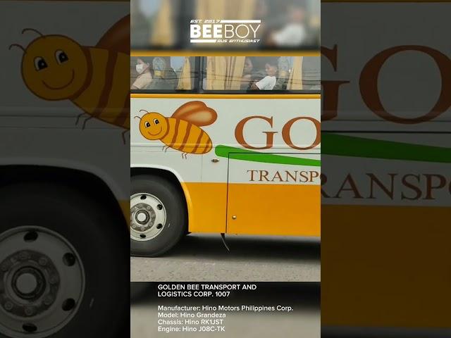 Golden Bee Transport and Logistics 1007 #Beeboy #BusEnthusiast #Hino #BaliwagTransit #GoldenBee #FYP