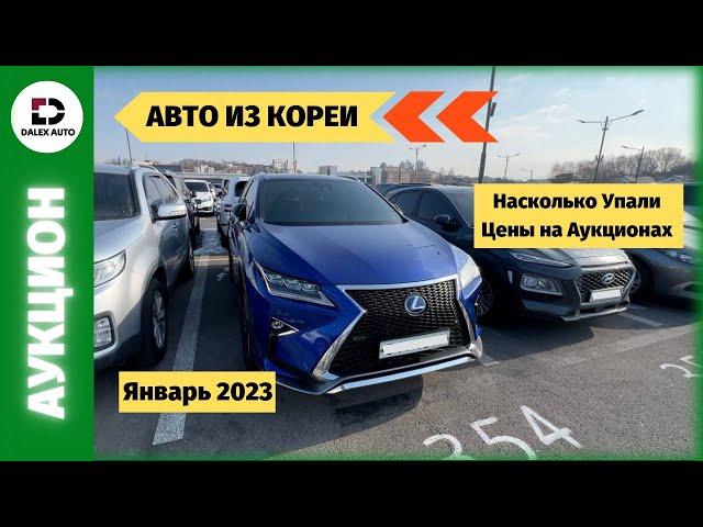 Новый сезон 2023! Цены на аукционах в Корее