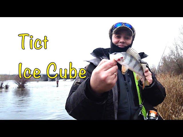 ТЕСТ СПИННИНГА TICT Ice Cube и о проблемах катушки Daiwa Freams.