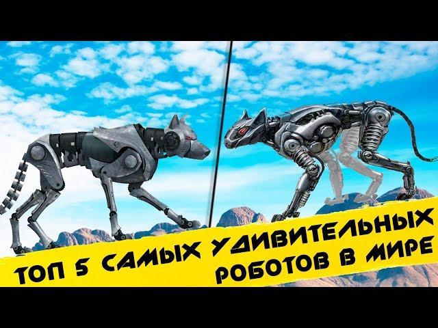  Топ 5 САМЫЕ СОВРЕМЕННЫЕ РОБОТЫ / НОВЫЕ ТЕХНОЛОГИИ БУДУЩЕГО Boston Dynamics robot