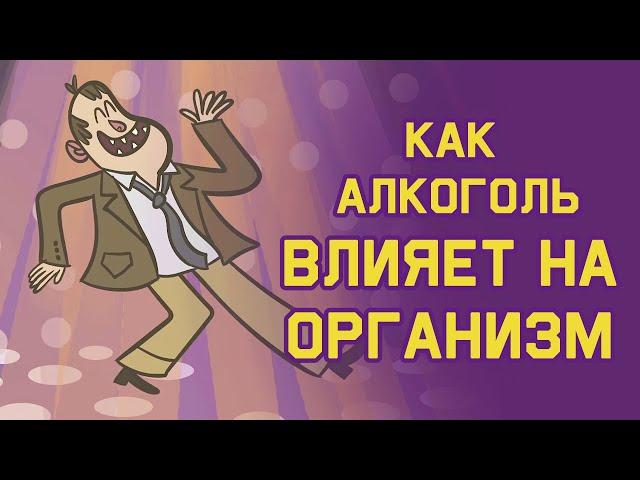 Edu: Как алкоголь влияет на организм