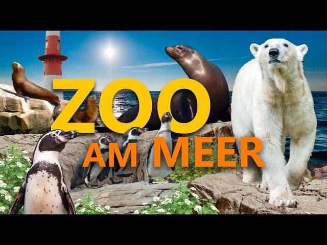 Zoo am Meer in Bremerhaven | Zoo-Eindruck