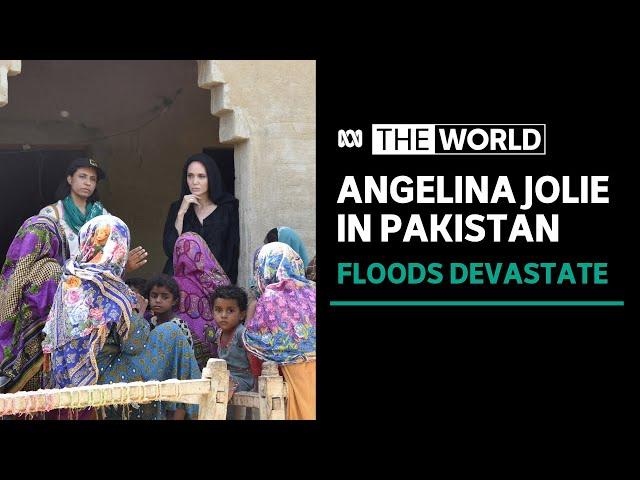 Angelina Jolie visits flood-hit Pakistan amid rapid spread of malaria and other diseases | The World