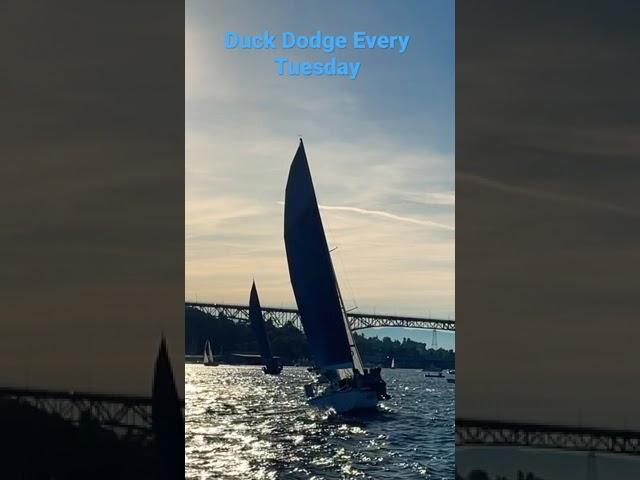 Duck Dodge Race