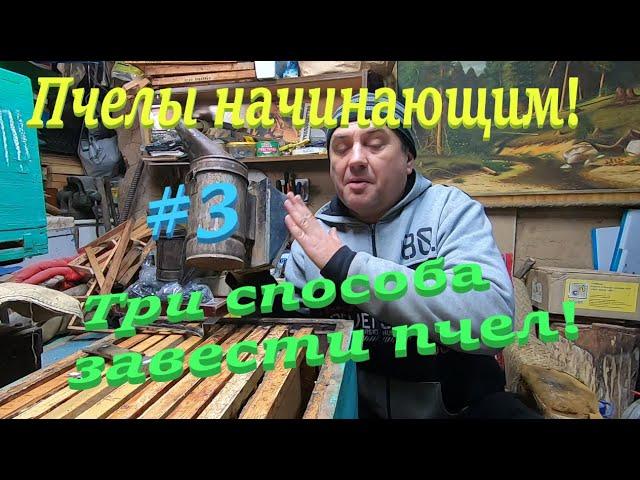  ПЧЕЛОВОДСТВО НАЧИНАЮЩИМ С НУЛЯ! #3 Три способа завести пчел!