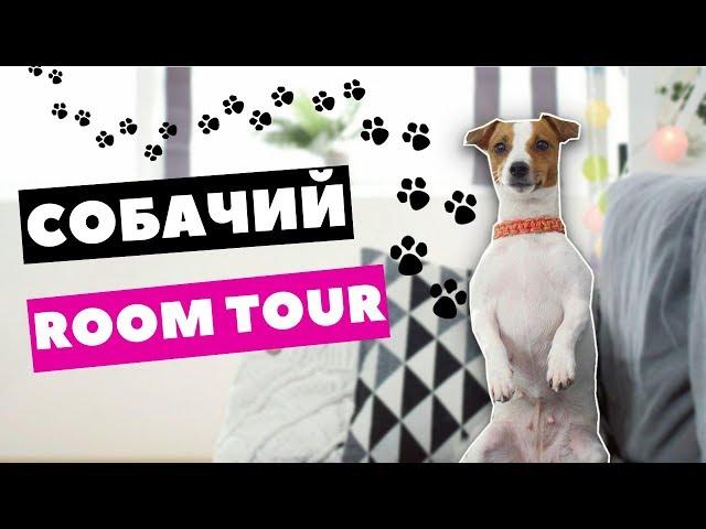 СОБАЧИЙ РУМ ТУР | МОЯ СОБАКА ДЕЛАЕТ ROOM TOUR | Darina Sweet