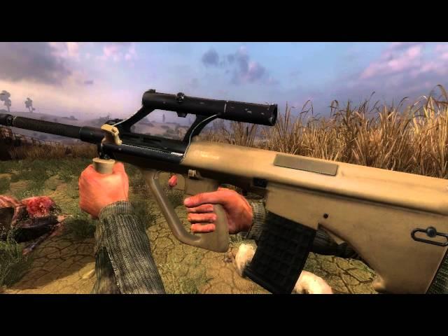 Stalker CoP, Shoker Weapon Mod 2.0, Steyr AUG A1