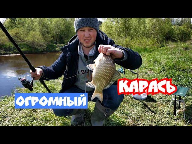 ОГРОМНЫЕ КАРАСИ на речке. ФИДЕР. Рыбалка в Подмосковье 2020 | Рыбалка на карася в мае.