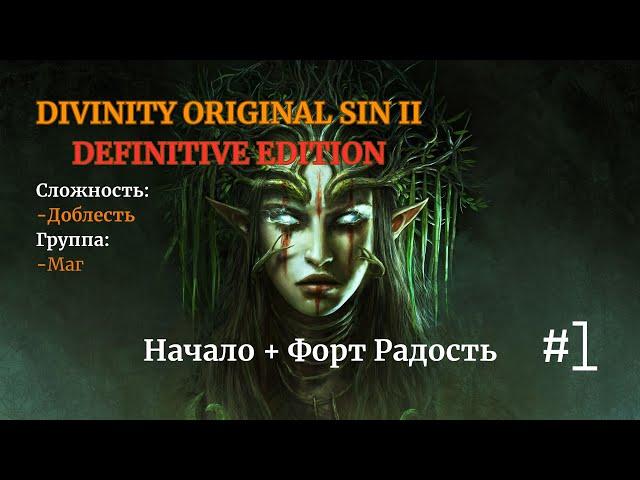 Divinity: Original Sin II [ DE ]. Соло. Сложность: Доблесть. #1