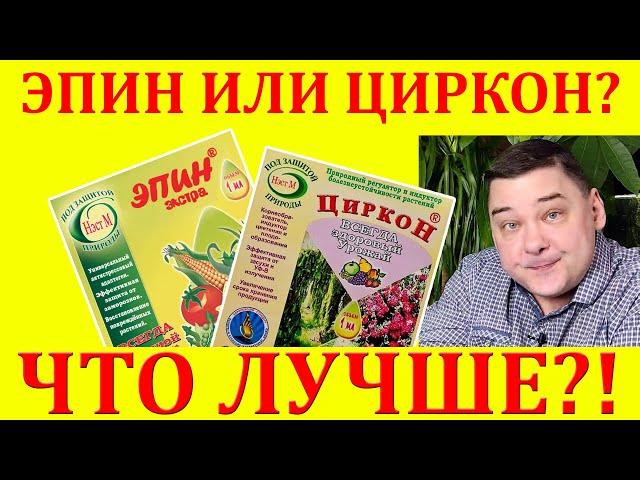 Эпин или Циркон: что лучше? Хотите узнать правду?)