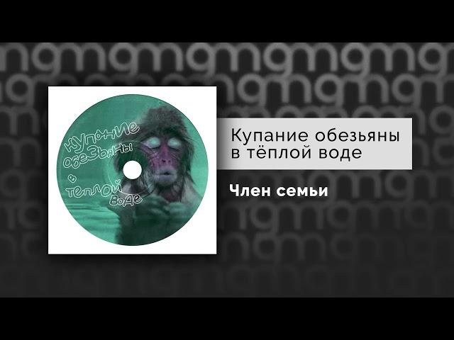 Купание обезьяны в тёплой воде - Член семьи (Официальный релиз)