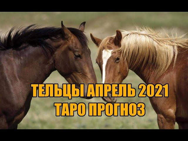 Тельцы Таро Прогноз Апрель 2021