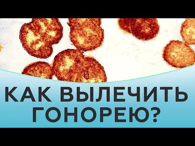 Гонорея у мужчин. Гонорея у женщин. Лечение гонореи