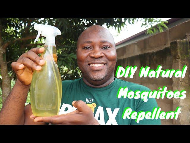 DIY Mosquitoes Repellent | Natural Way To Get Rid Of Mosquitoes With Just One Ingredient #repellent