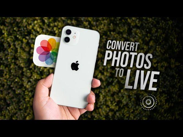 How to Convert Still Photo to Live Photo (tutorial)