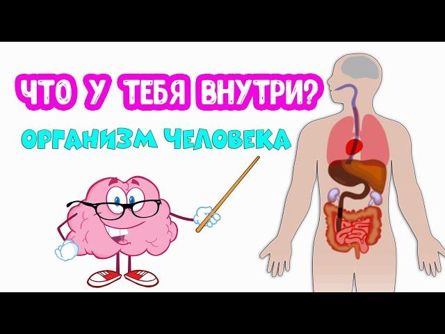 Организм ЧЕЛОВЕКА. Что у тебя внутри?