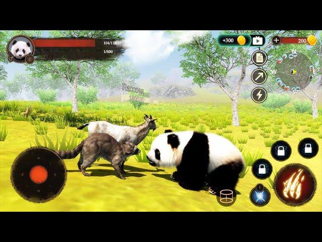 The Panda Simulator (by Wildlife) - Funny Panda Android Gameplay #2 | Dishoomgameplay