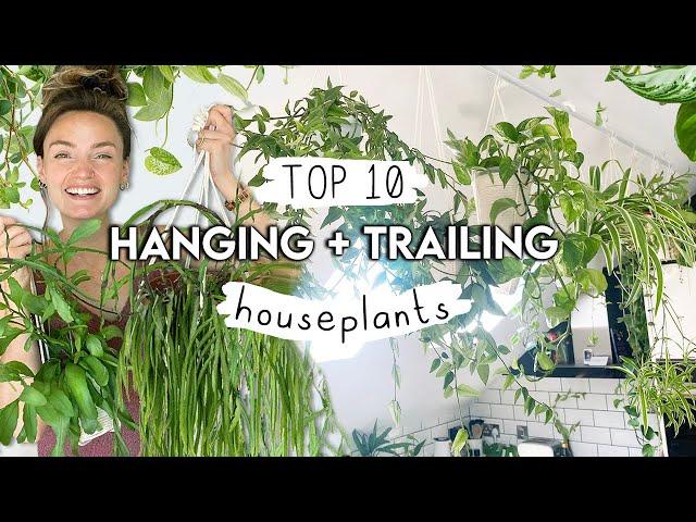 BEST Hanging + Trailing Houseplants Right Now  Top 10 Amazing Plants To Hang and Trail