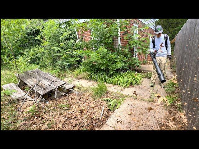 This house nearly VANISHED after the owner packed up and left during the PANDEMIC