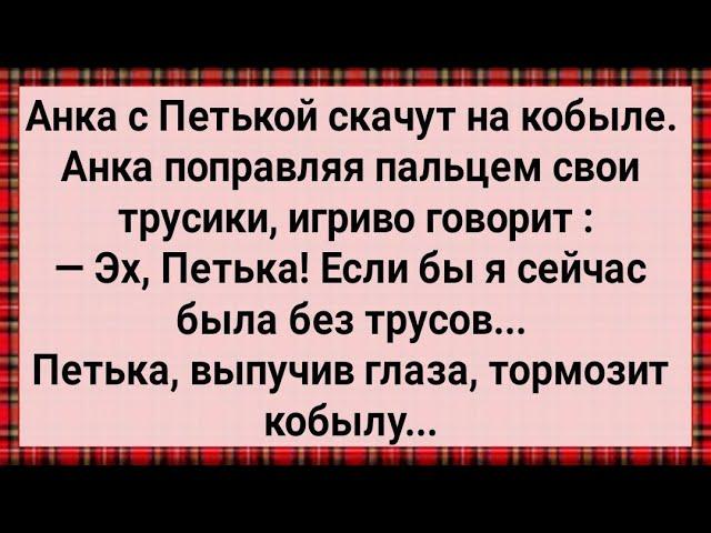 Как Анка с Петькой На Кобыле Скачут! Сборник Свежих Анекдотов! Юмор!