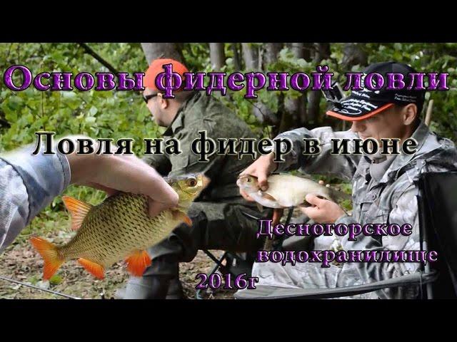 Основы фидерной ловли, Ловля на фидер в июне 2016г Десногорское водохранилище