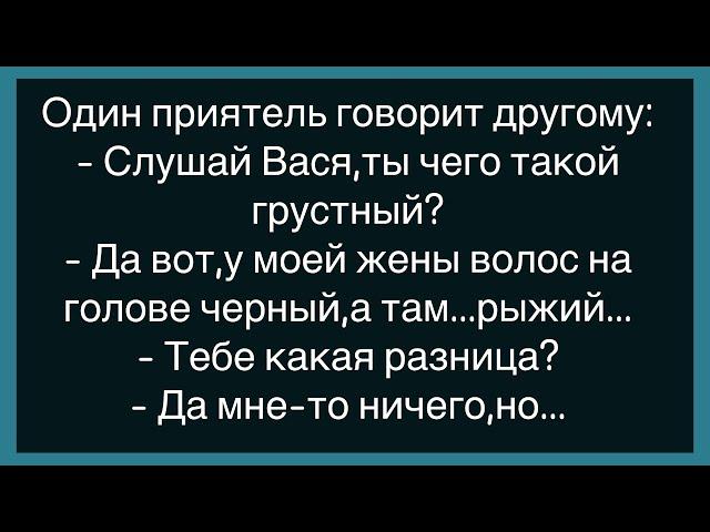 Как Мужик С Бабой Познакомился!Сборник Веселых И Смешных Анекдотов!Юмор!Настроение!