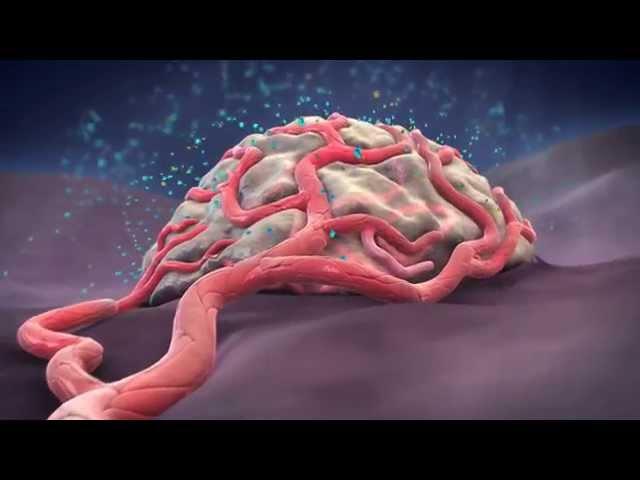 Angiogenic Signaling