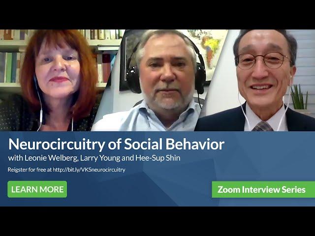 Preview: Neurocircuitry of Social Behavior