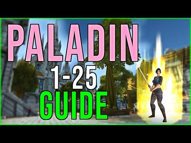 SEAL TWISTING? Beginner Paladin 1-25 Leveling Guide SoD WoW