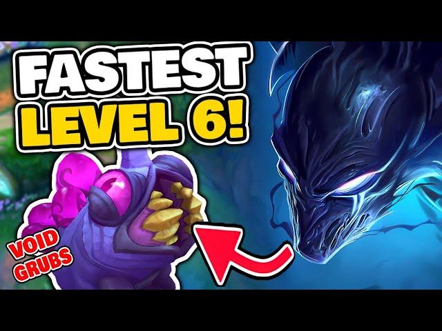 NOCTURNES *Best* Jungle Path for FASTEST LVL 6!!!