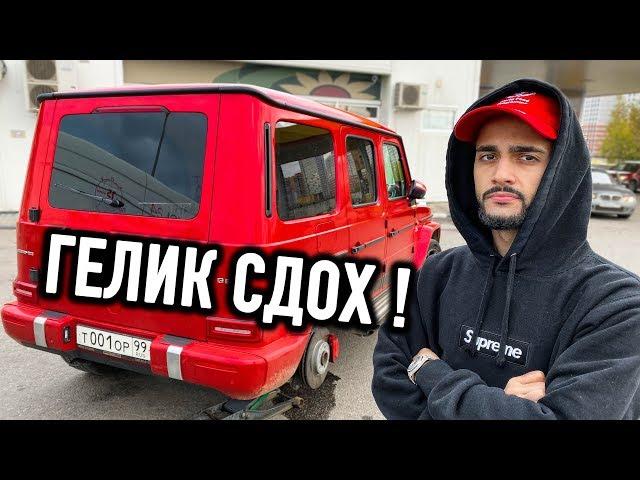 ГЕЛИК ГУСЕЙНА - СДОХ !