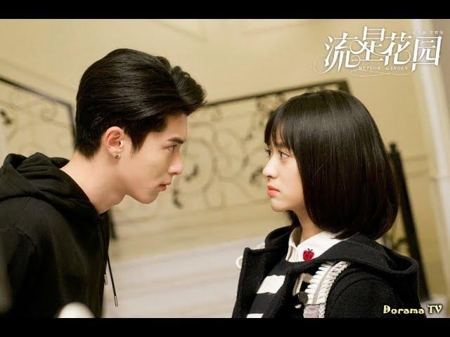 Сад падающих звёздMeteor Garden (2018)Liu xing hua yuan