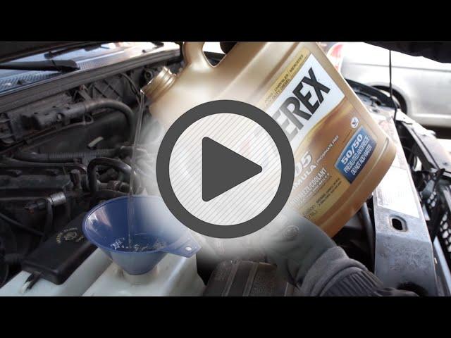 Valvoline Zerex Full Strength Antifreeze and Coolant - Pep Boys