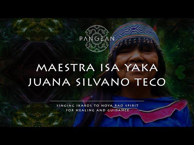 Maestra Juana Isa Yaka - Ikaros to Noya Rao Spirit for Healing and Guidance